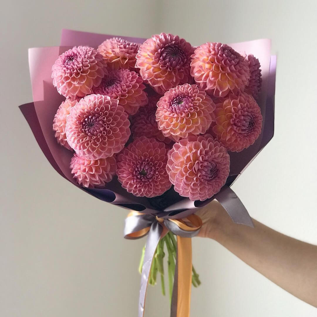 17 Малиновых Георгинов